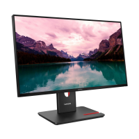 Slika Lenovo ThinkVision T24-40 64A4MATXEU