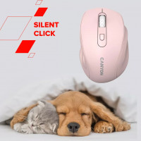 Slika Canyon CNE-CMSW20P