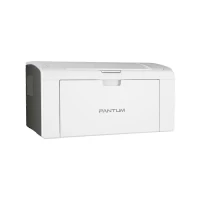 Slika Pantum P2509w