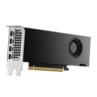 Slika Dell OEM Nvidia RTX 2000 Ada16GB