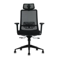 Slika proizvoda UGD LumbarMax