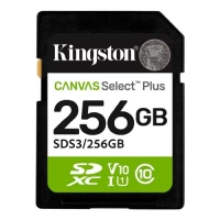 Slika proizvoda 256 GB Kingston SDS3/256GB