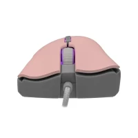 Slika Baracuda LOBSTER Pink