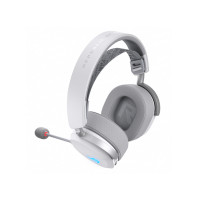 Slika Asus A501 ROG Pelta White