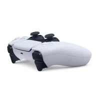 Slika Gembird JPD-Wireless-PC/PS5 GREY/WHITE