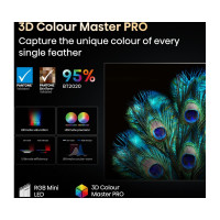 Slika HISENSE 116UXQ