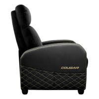 Slika COUGAR GAMING CGR-RAE-GLB
