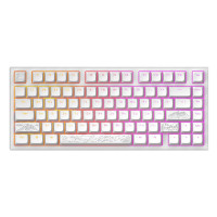 Slika proizvoda Dark Project ALU Terra Nostra White - Wired Gaming Keyboard (ANSI/UA)