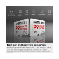 Slika 256GB Samsung MB-MK256T