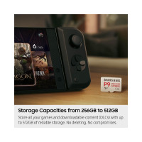 Slika 256GB Samsung MB-MK256T