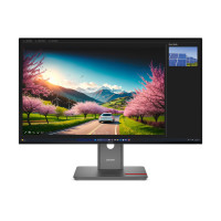 Slika Lenovo ThinkVision P32UD-40 64A8GAR2EU