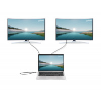 Slika Manhattan USB-C PD 10-in-1 Dual-HDMI Monitor Docking Station / Multiport Hub