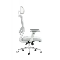 Slika UGD Silver Polare