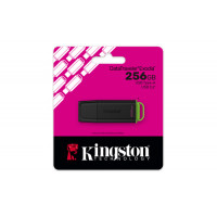 Slika 256 GB Kingston DTXG2/256GB