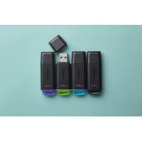 Slika 256 GB Kingston DTXG2/256GB
