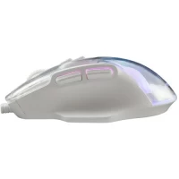 Slika Baracuda ANGLERFISH BGM 062 Transparent/White