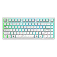 Slika proizvoda Dark Project ALU Terra Nova R2 White - Wireless Gaming Keyboard (ANSI)