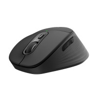 Slika Logitech M850 L Wireless crni OEM