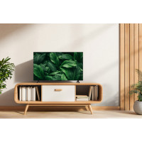 Slika TCL 50S5L