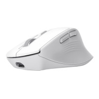 Slika Trust NIVEN COMFORT MULTI-WRLS MOUSE/bela