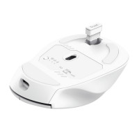 Slika Trust NIVEN COMFORT MULTI-WRLS MOUSE/bela