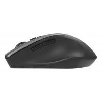 Slika proizvoda Asus WT425 Wireless sivi