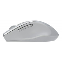 Slika Asus WT425 Wireless srebrni