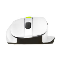 Slika Asus MD105 Volt Green Wireless