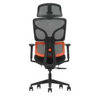 Slika UGD Move Orange