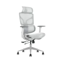 Slika UGD Move Blue