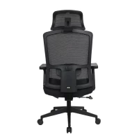 Slika UGD Zenith