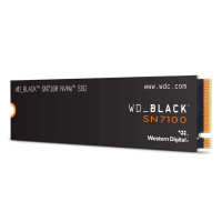 Slika 1 TB WD WDS100T4X0E