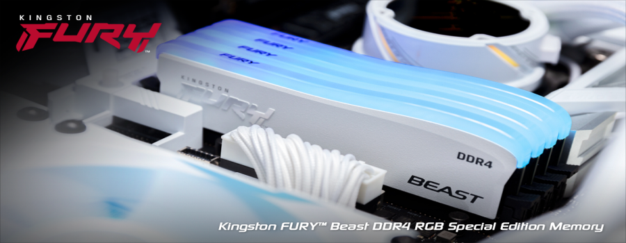 Kingston Beast
